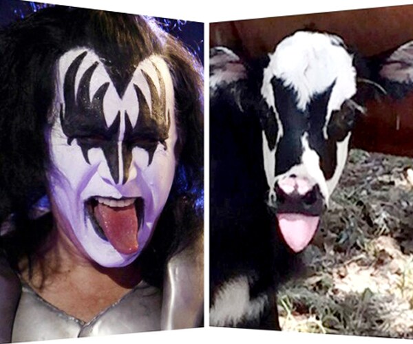 Gene Simmons, Ace Frehley of Kiss Play Together After 16 Years