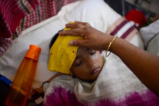 Bangladesh Grapples with Country's Worst Dengue Outbreak