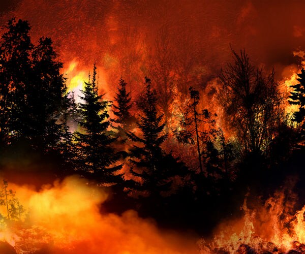 Bad Enviro Politics Destroying California 