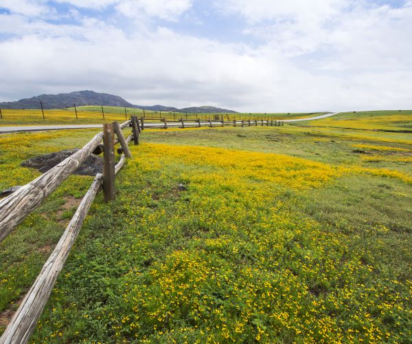 Off-Grid Living Not a Choice for Some Forgotten Counties