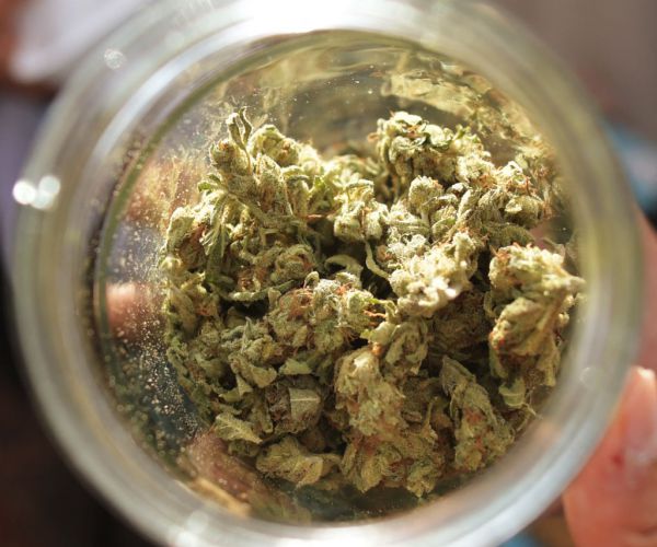 CDC: Cannabis Worker Died on Job from Asthma