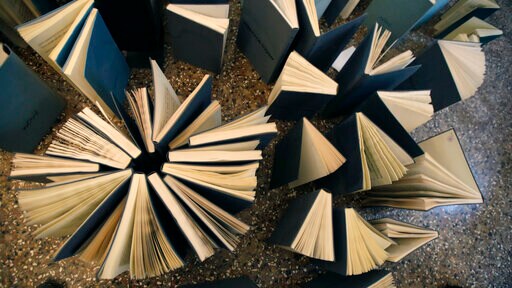 Young Venetians Volunteer after Flood of Their Lifetimes