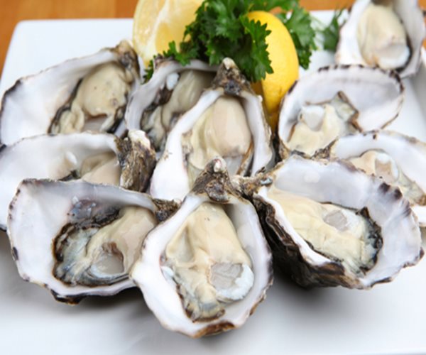 New Bacterial Strain Can Contaminate Shellfish