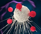 New Cancer Immunotherapy Killed Whole Tumors