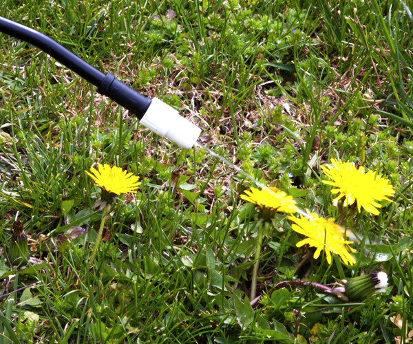 Weed Killer Glyphosate Found in Kids' Breakfast Foods