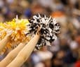 Supreme Court Cheerleader Case Could Decide if Schools Can Consider Off-Campus Speech