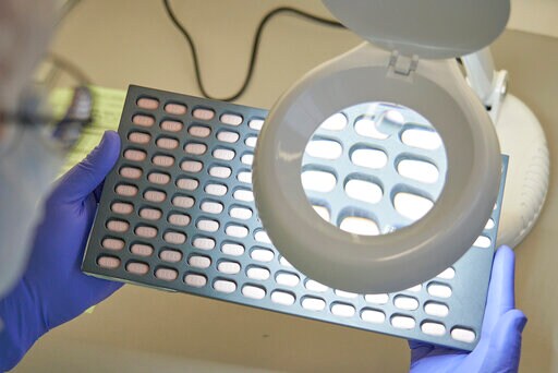 WHO Calls on Pfizer to Make Its COVID Pill More Available