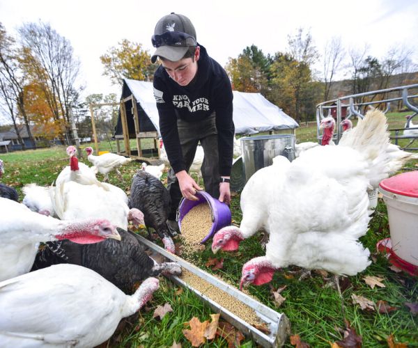 COVID Restrictions for Thanksgiving Leave Grocers, Farmers in Limbo