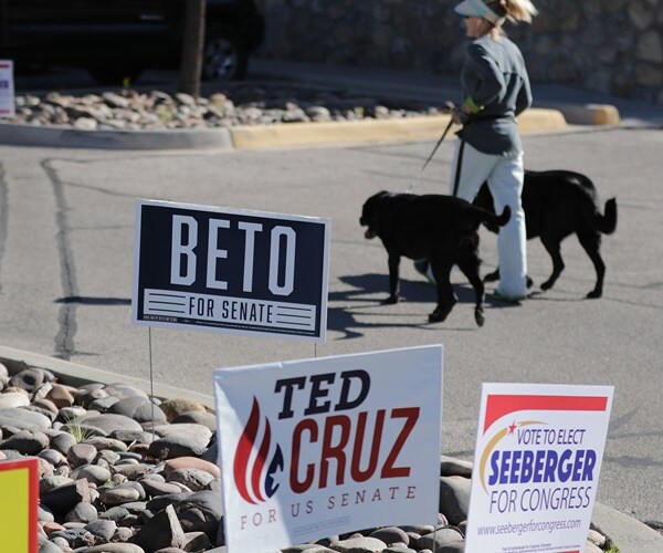 signs in texas as voter walks dog
