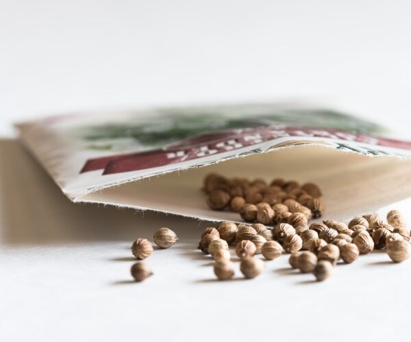 seeds coming out of a packet