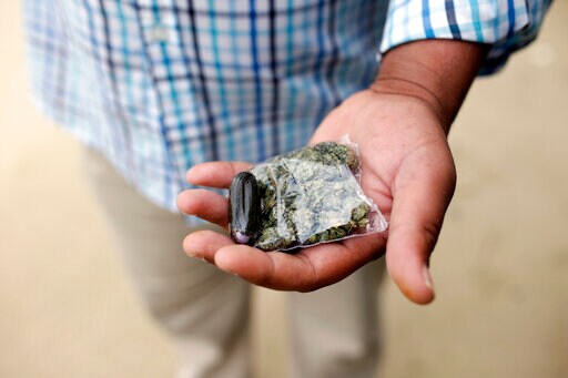 EU Drug Agency Sees Rising Gang Violence amid Steady Prices