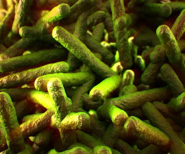 Tainted Salad from Dole Food Kills One: CDC