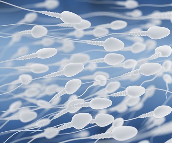 Low Sperm Count May Indicate Serious Health Risks