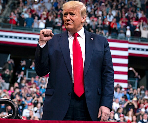 president donald trump pumps his fist at a campaign rally