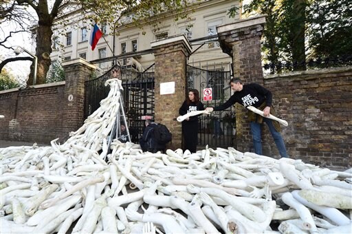 Russians Rally at British Embassy, Mimicking London Protest