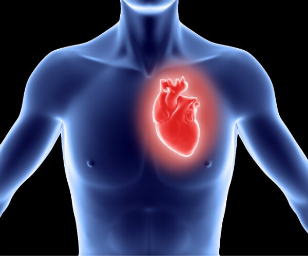 Study: Heavy Drinking Can Damage Heart Tissue