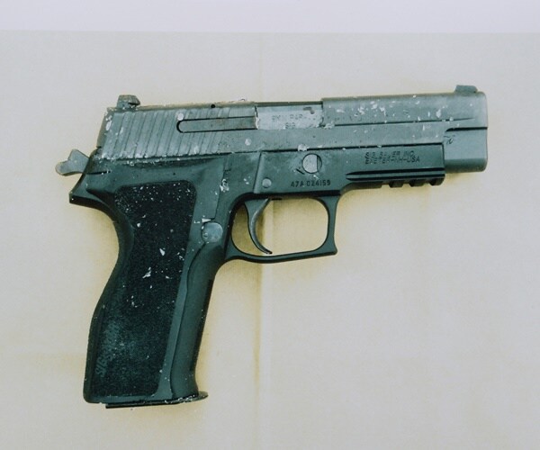 Woman Destroys Gun in Video: It Was the 'Best Thing to Do'