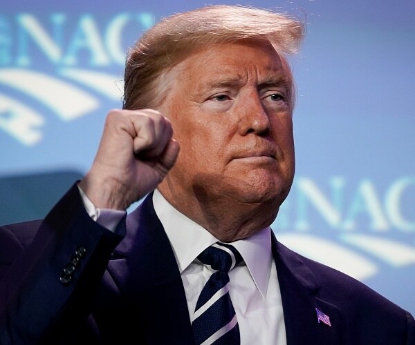 donald trump raises his fist