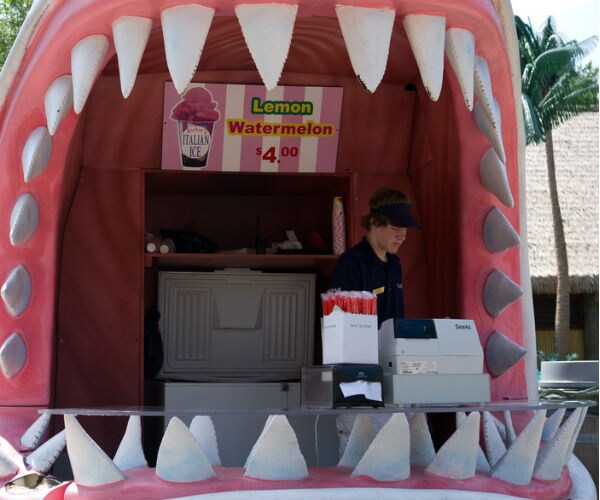 CEOs Recall When Teens Like Them Actually Worked Summer Jobs