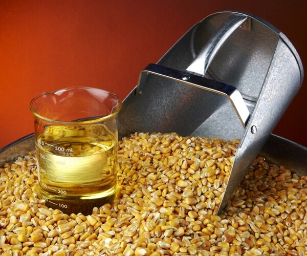 Farmers, Lawmakers Pressure on Trump Over Biofuel Policy