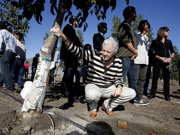 Taxpayers Foot Child Molester Payoff 