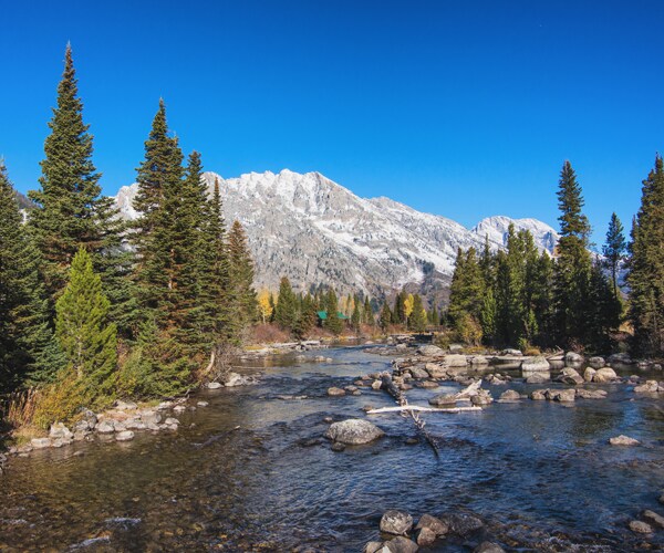 Cottonwood Creek in Wyoming's Grand Teton National Park
