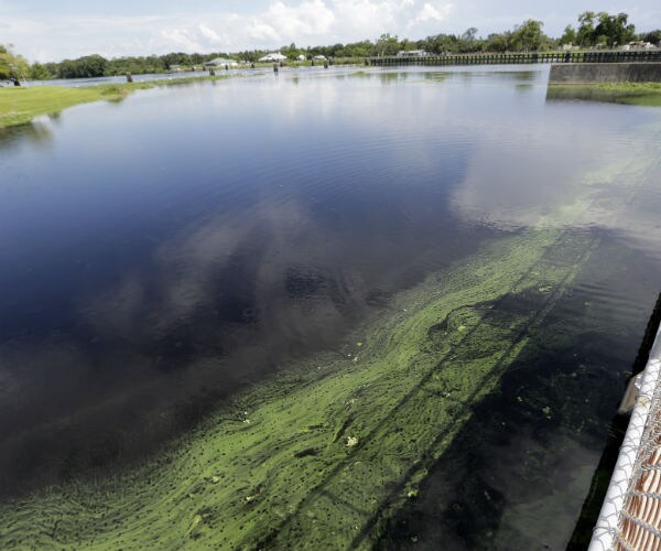 Toxic Algae Now Key Issue in Florida Senate Race