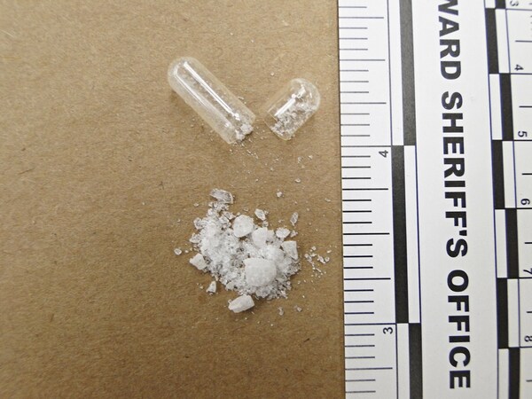 FEATURE-Cheap, Synthetic 'flakka' Dethroning Cocaine on Florida Drug Scene