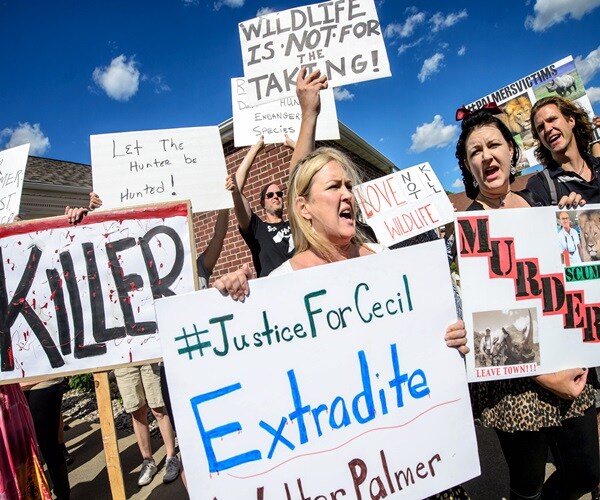 Fish and Wildlife Investigates Dentist in Lion Killing