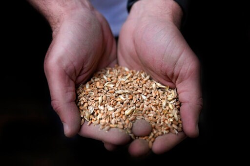 Lebanon's Parliament Votes to Spend World Bank Loan on Wheat