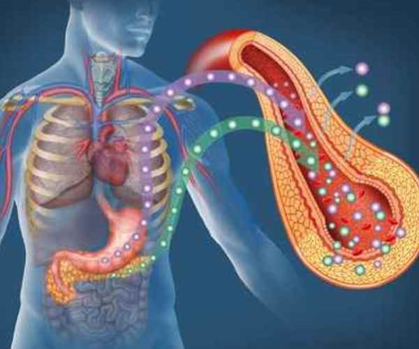 Pancreatic cancer survivors without surgery