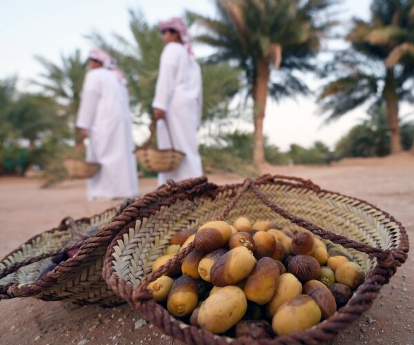 freshly picked dates in a basket sit in the sand