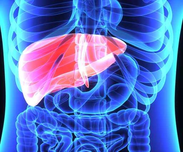 Drug Extends Lives of Liver Cancer Patients