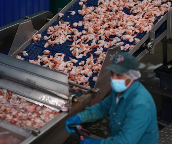 a worker stands next to a conveyor belt with shrimp on it