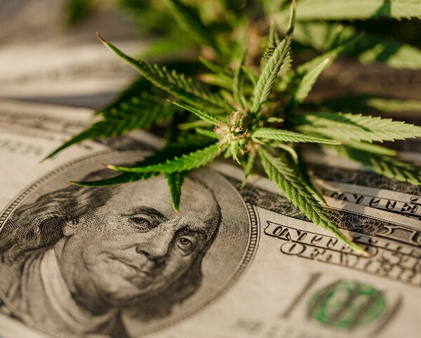 NJ Approves 7 Facilities for Recreational Cannabis Sales