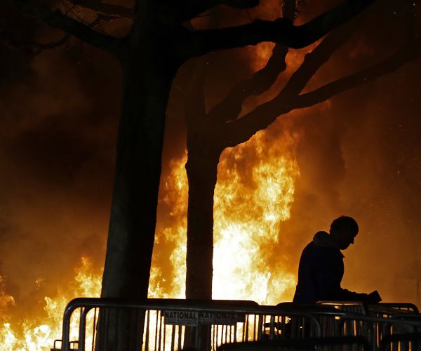 Milo Shutdown at Berkeley Domestic Terrorism, FBI Should Probe