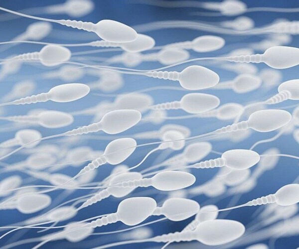microscopic view of sperm swimming