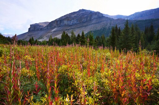 Canadian Rescuers Rush to a Remote Part of Banff Park Following Reports That a Rock Slide Hit Hikers