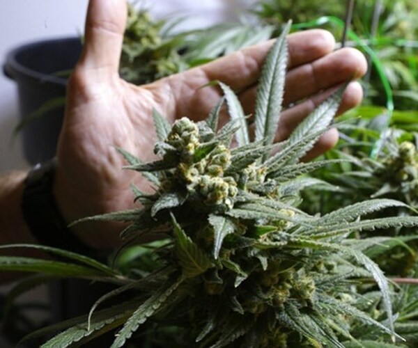 California Weed Doctors Make House Calls 