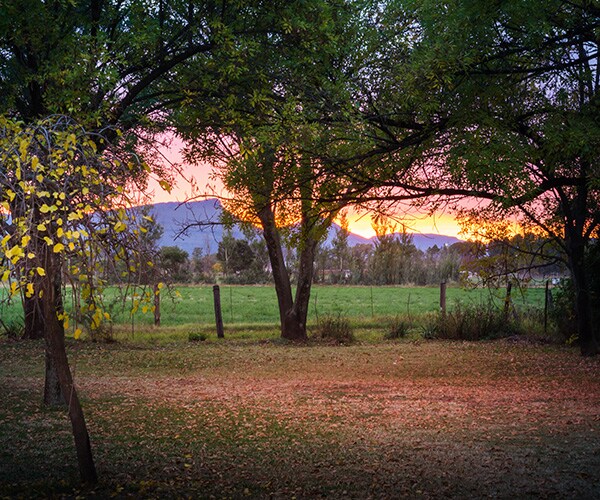 Savage: Media Turns Blind Eye to White South African Farmers Being Killed