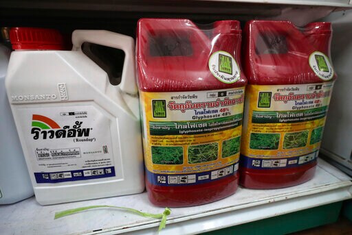 Thailand Bans Use of Paraquat and Other Toxic Farm Chemicals