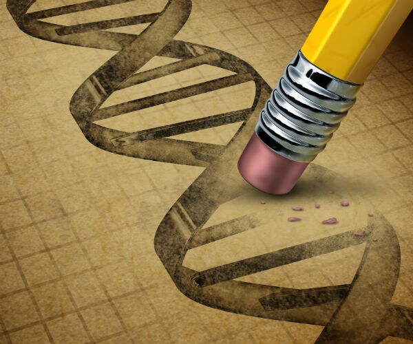 Intolerant Sanger Still Defended 