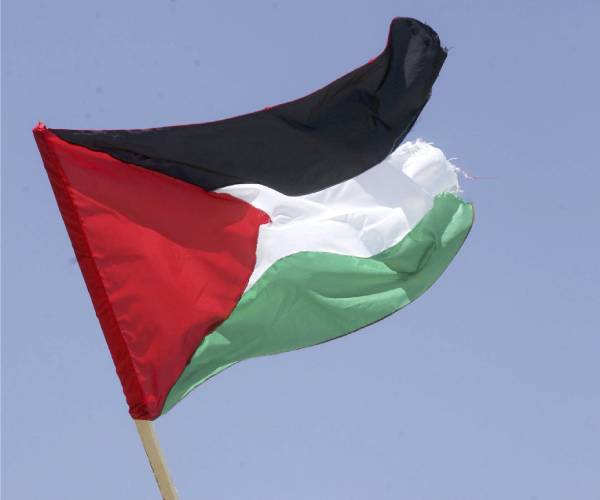 the palestinian flag