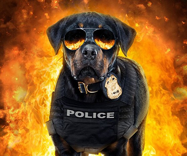 'Show Dogs' Pulled for Re-editing Over Genital-Touching Scenes