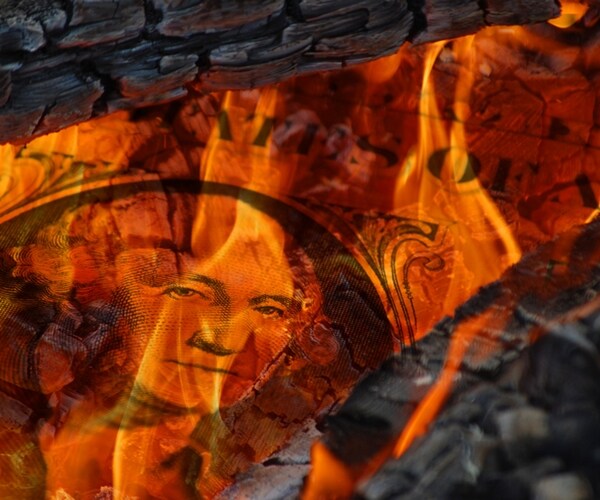 close-up of flames burning the american dollar 

