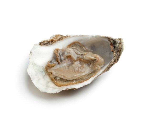 FDA Charged With Failure To Keep Oysters Safe to Eat