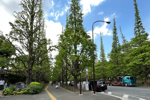 Haruki Murakami Pleads for Keeping Tokyo Park and Baseball Stadium That Inspired His Writing
