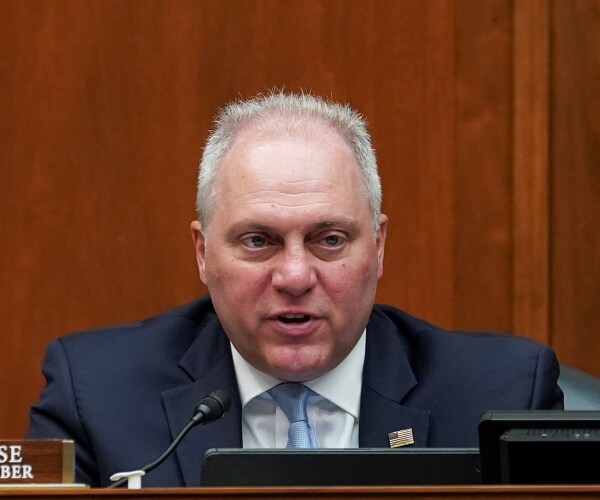 steve scalise speaks at hearing