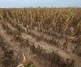 Record March Heat Fuels Severe US Drought