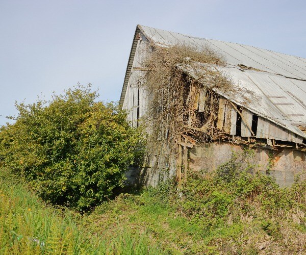 Study: Farms Saw Surge Of Bankruptcies in 2019